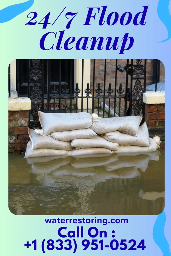 24/7 Flood Cleanup in Grand Rivers, KY