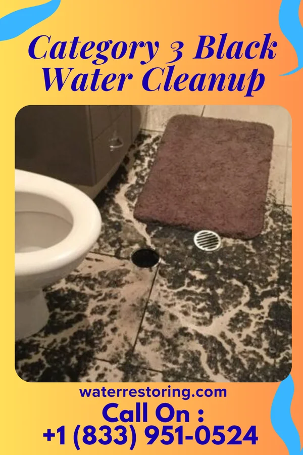 Category 3 Black Water Cleanup in Grand Rivers, KY