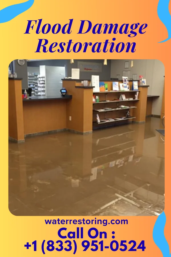 Flood Damage Restoration in Grand Rivers, KY