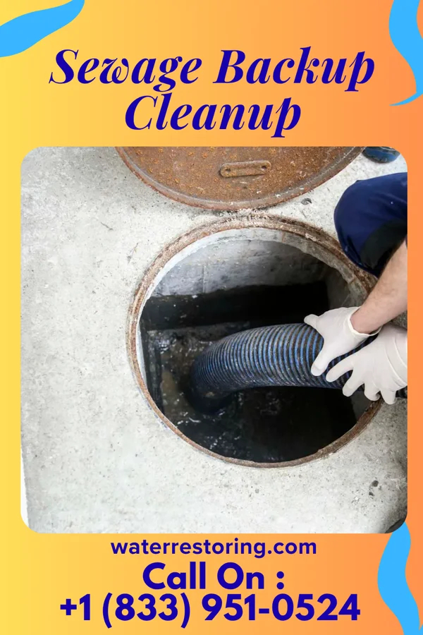 Sewage Backup Cleanup in Grand Rivers, KY
