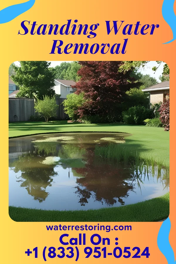 Standing Water Removal in Grand Rivers, KY